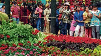 Lalbagh Flower Show Opens with Over Rs 21 Lakh Ticket Sales on Day One