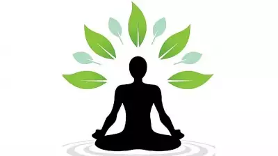 Looking Back to Move Forward: The Power of Perspective in Problem Solving