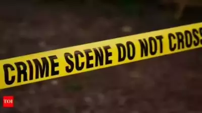 Ludhiana Horror: Carpenter, Wife Held for Dismembering Friend After Drug-Fuelled Row