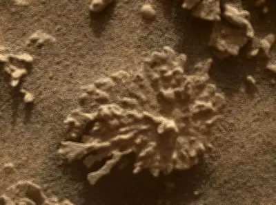 NASA's Curiosity Rover Spots Coral-Like Rock Formation on Mars Surface