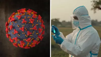 Nipah Virus Alert in India: Understanding Symptoms, Transmission, and Prevention