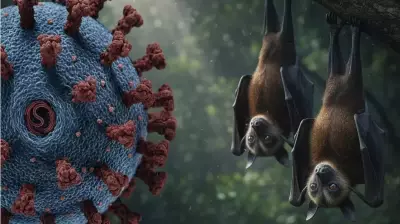 Nipah Virus Outbreak in Kerala Sparks Global Travel Concerns and Health Alerts