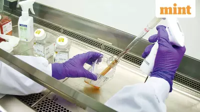 Nipah Virus Outbreak in West Bengal Sparks Global Concern, Wuhan Researchers Report Potential Oral Treatment