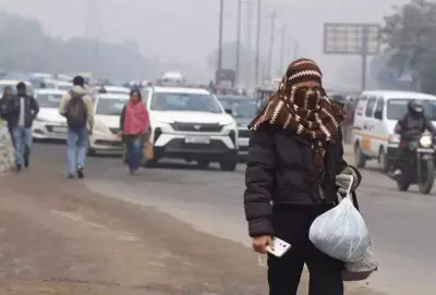 Noida AQI Slips to 'Very Poor' at 365, Records Coldest Jan Night in 2 Years