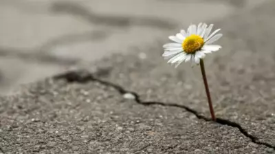 Numerology Reveals 4 Most Resilient Birth Dates: Born to Overcome