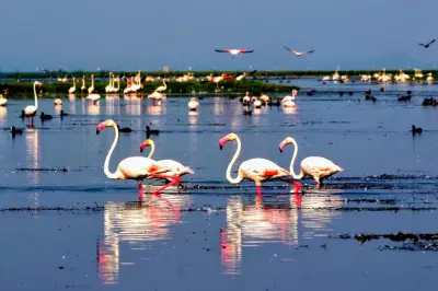 Odisha Plans Rs 2,000 Crore Chilika Lake Restoration with IIT Madras