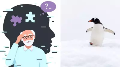Penguin Virus Linked to Alzheimer's: New Study Reveals Potential Human Transmission