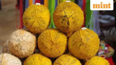 Pongal 2026: Celebrating Tamil Nadu's Harvest Festival with Traditions and Wishes