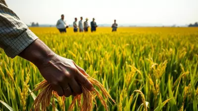 Rice Exporters Seek Budget 2026 Support for Sustainability & Global Dominance