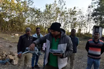 Rogue Elephant Kills 20 in Jharkhand, Sparks Panic as It Crosses into Odisha