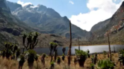 Rwenzori Mountains: Africa's Shrinking Glaciers and Natural Treasures