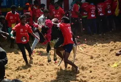 Salem's Koolamedu Jallikattu Draws 550 Bulls, 400 Tamers with Strict Safety Measures