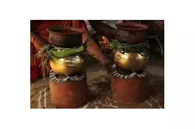 Tamil Nadu Directs Ration Shops: Pongal 2026 Gift Tokens Ready by Jan 2