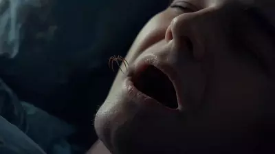 The 8 Spiders a Year Myth: Why You Don't Swallow Spiders in Your Sleep
