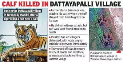 Tiger's Prolonged Presence Near Hyderabad Exposes Forest Department's Preparedness Gaps
