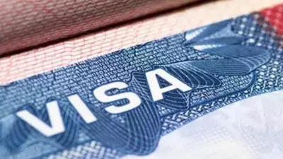 US Congressman Randy Fine Demands Full Immigration Pause, Citing Visa 'Scamming'