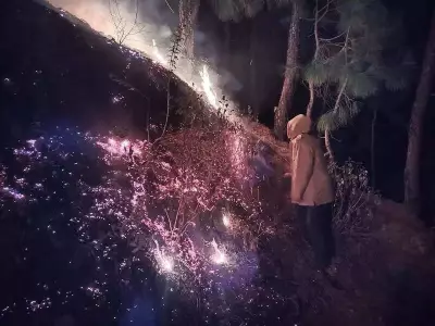 Uttarakhand Forest Fires Reignite: Six Major Alerts Issued Across Multiple Districts