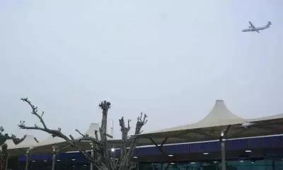 Vijayawada-Singapore Flights See Strong Demand After 6-Year Hiatus