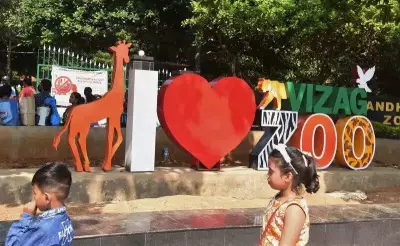 Vizag's 24-Year-Old Asiatic Lioness Bigo Passes Away, Highlights Zoo's Care