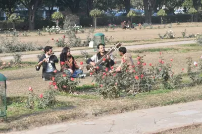 Western Disturbance to End Tricity's Sunny Spell, Rain Expected from Jan 21