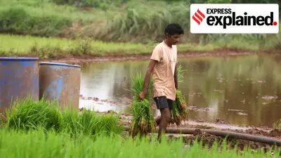 Why EU Trade Deal Offers Better Prospects for Indian Farmers Compared to US Agreement