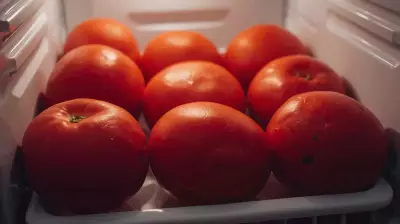 Why Your Fridge is Quietly Killing Tomato Flavour: Science Explains