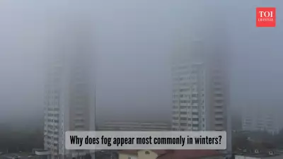 Winter Fog in India: The Science Behind the Mysterious Haze