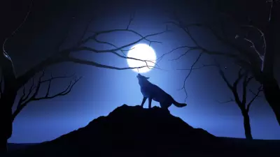 Wolf Moon 2026: Date, Spiritual Meaning, and Impact on Zodiac Signs