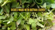 10 Delicious Bathua Leaf Dishes to Savor This Winter Season