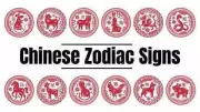 2026 Fire Horse Year: Zodiac Predictions for All 12 Signs