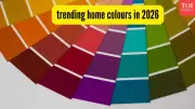 2026 Home Colour Trends: Soothing Greens, Pastels Replace Minimalist Neutrals
