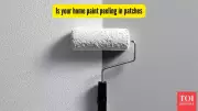 5 Smart Ways to Fix Peeling Paint in Indian Homes Without Full Repaint