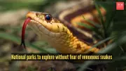 5 Stunning National Parks Without Venomous Snakes for Fearless Exploration