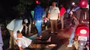 57-Year-Old Man Injured in Scooter Collision with Animal on Palakkad-Coimbatore Road