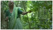 92-Year-Old Kerala Woman Plants 5-Acre Forest Tapovanam in Alappuzha