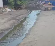 Activists Sound Alarm Over Sewage Dumping Threatening Olive Ridley Turtles in Morjim-Ashvem