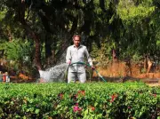 Ahmedabad Civic Body's Rs 140 Crore Tenders Under Scrutiny for Corruption Allegations