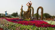 Ahmedabad Flower Show Sees Visitor Drop, Installation Costs Outpace Ticket Revenue