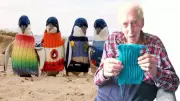 Alfie Date's Penguin Sweaters: Viral Story of 110-Year-Old's Conservation Legacy