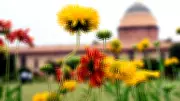 Amrit Udyan 2026: A Complete Travel Guide to Delhi's Floral Paradise