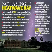 Andhra Pradesh's 2025 Weather Toll: Over 100 Lives Lost to Lightning, Floods