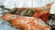 Antarctica's Blood Falls: The Crimson Mystery of Life in Extreme Isolation