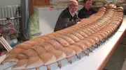 Arthropleura: The 3-Meter Giant Millipede That Ruled Earth Before Dinosaurs