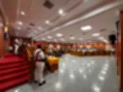 Avadi Corporation Council Meeting Highlights Mosquito Menace and Stray Animal Crisis