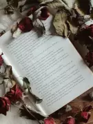 Beyond Wordsworth: The Diverse Voices That Shaped Romantic Poetry