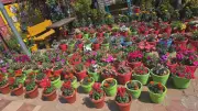 Bhanjanagar Police Station Transformed into Floral Paradise in Ganjam