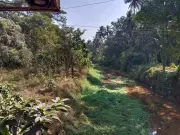 Bicholim Residents Urge WRD to Clear Aark Rivulet Bushes to Prevent Monsoon Flooding