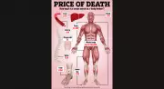 Body Brokering: The Billion-Dollar US Trade in Human Remains