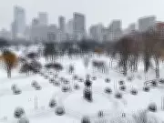 Bomb Cyclone Threatens US East Coast This Weekend, Potential for Severe Weather