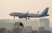 Bomb Threat Forces IndiGo Delhi-Bagdogra Flight to Make Emergency Landing in Lucknow